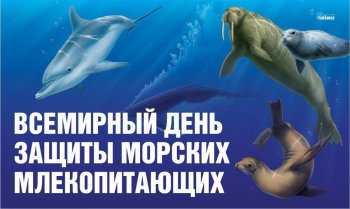 День "Защиты морских млекопитающих"